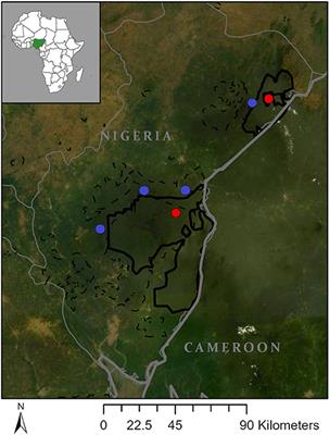 Life on the Rainforest Edge: Food Security in the Agricultural-Forest Frontier of Cross River State, Nigeria